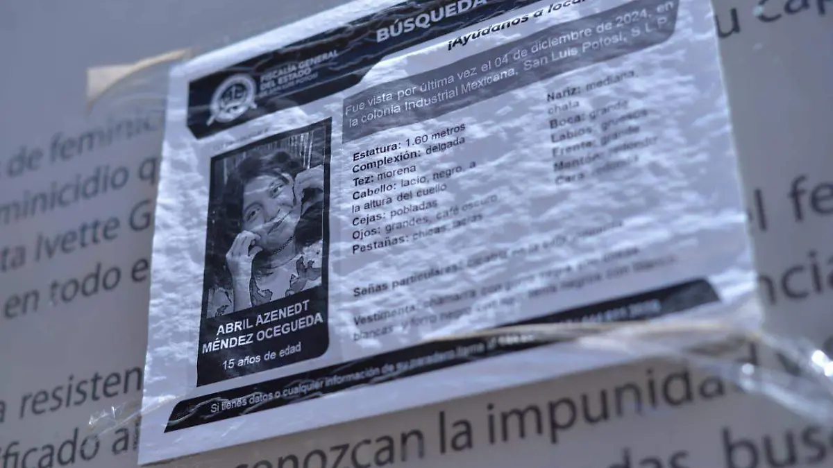 WhatsApp Image 2026-03-27 at 15.53.12