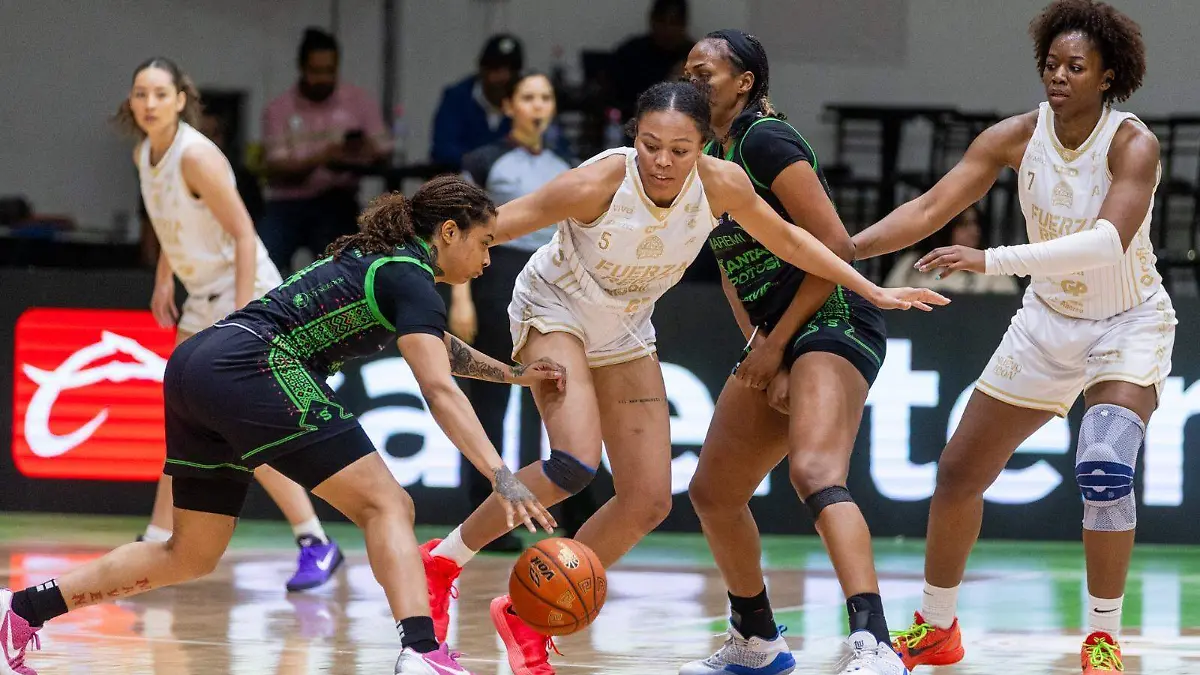 WhatsApp Image 2026-03-27 at 9.59.17 PM (1)