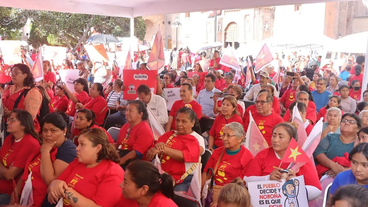 WhatsApp Image 2026-03-28 at 15.55.34