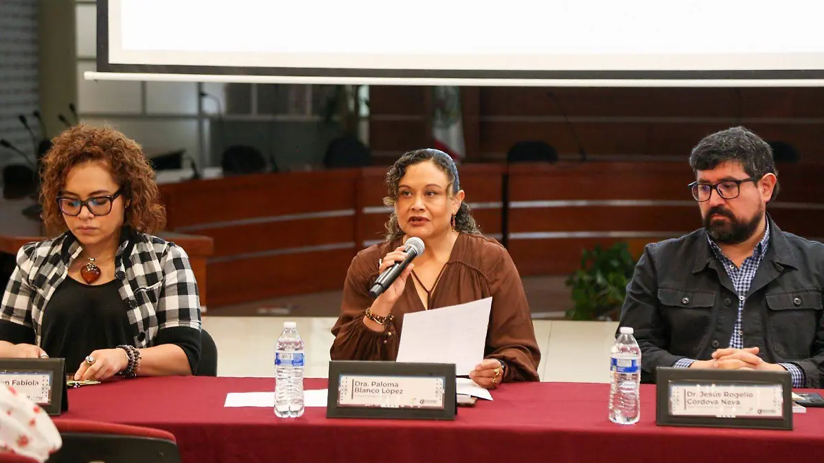 diagnóstico “Nuestra presencia es política violencia política en razón de género durante el proceso electoral 2024 en San Luis Potosí” (3)