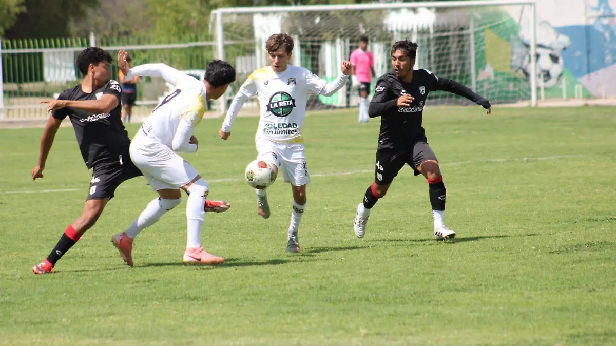 WhatsApp Image 2026-03-29 at 4.12.11 PM (2)