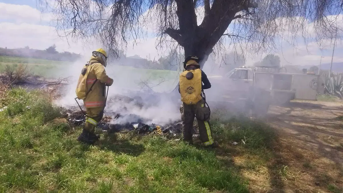 WhatsApp Image 2026-03-29 at 5.12.20 PM