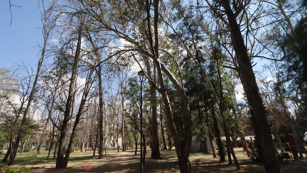 WhatsApp Image 2026-03-29 at 3.01.06 PM