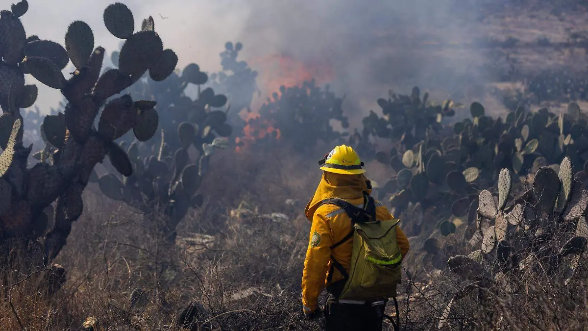 WhatsApp Image 2026-03-29 at 3.07.45 PM