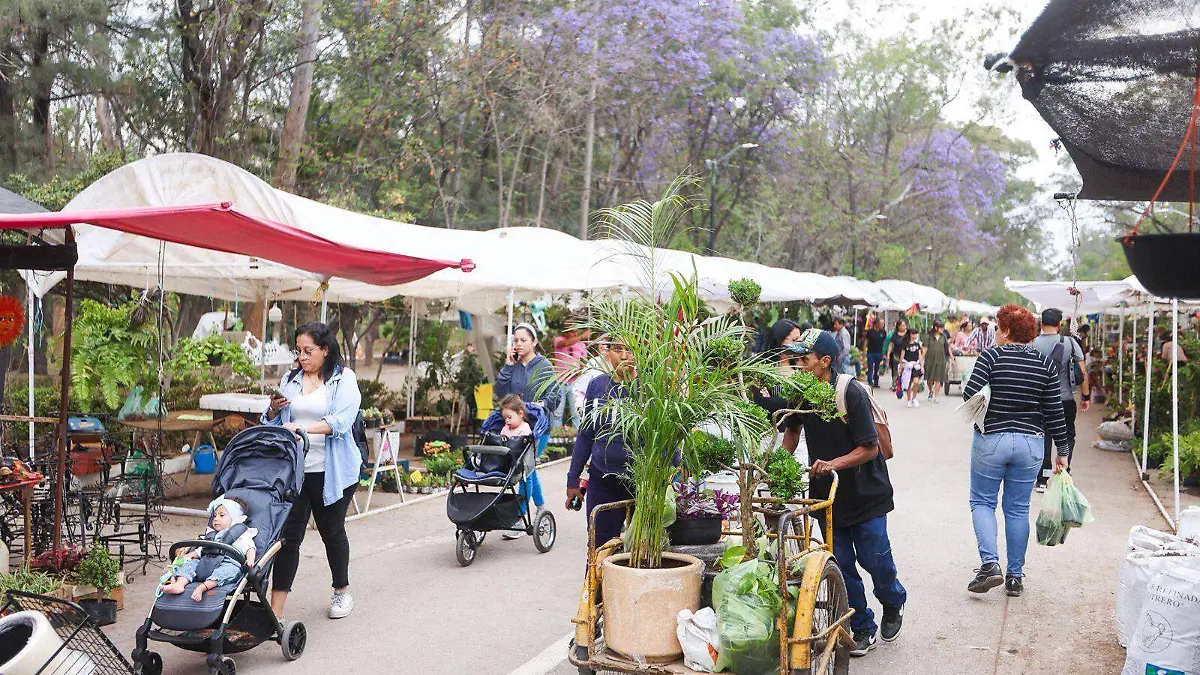 WhatsApp Image 2026-03-30 at 14.29.18