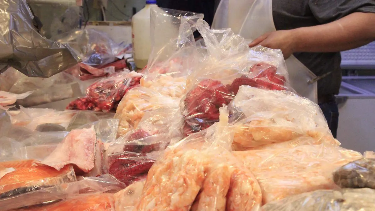 WhatsApp Image 2026-03-31 at 14.09.44 (1)