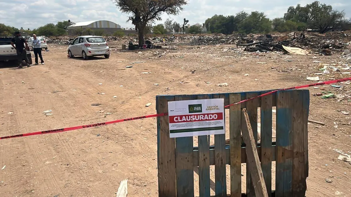 WhatsApp Image 2026-04-01 at 1.10.39 PM