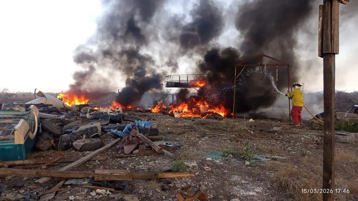 WhatsApp Image 2026-04-01 at 2.05.02 PM