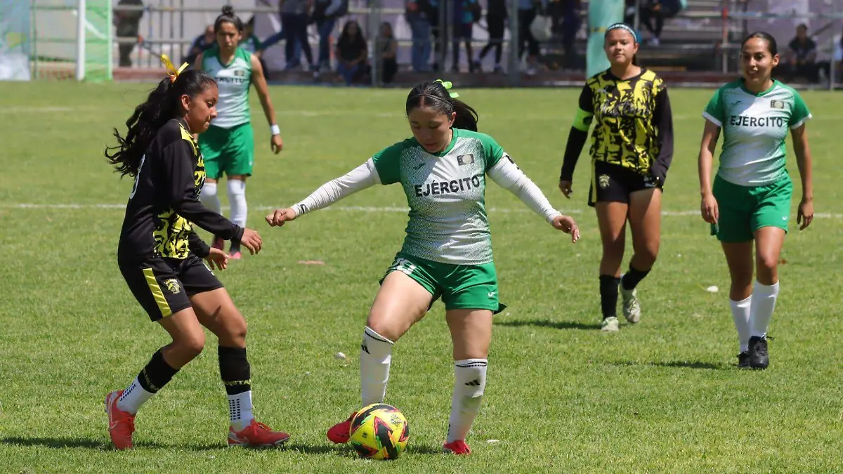 WhatsApp Image 2026-04-01 at 1.20.31 PM