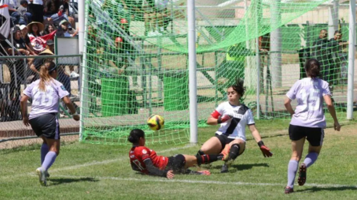 WhatsApp Image 2026-04-03 at 2.09.06 PM