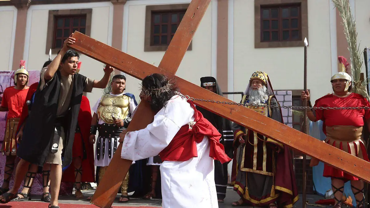 WhatsApp Image 2026-04-03 at 17.23.59