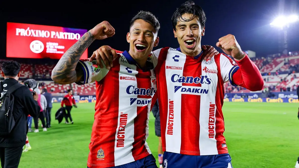 WhatsApp Image 2026-04-03 at 13.05.27