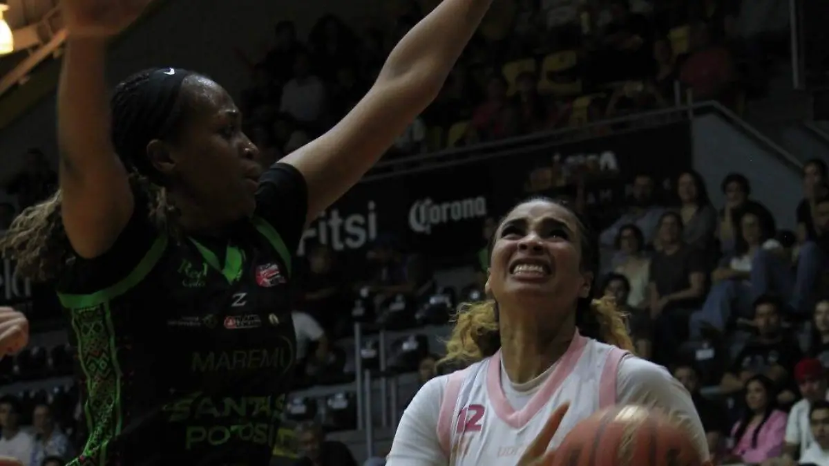 WhatsApp Image 2026-04-03 at 22.51.42