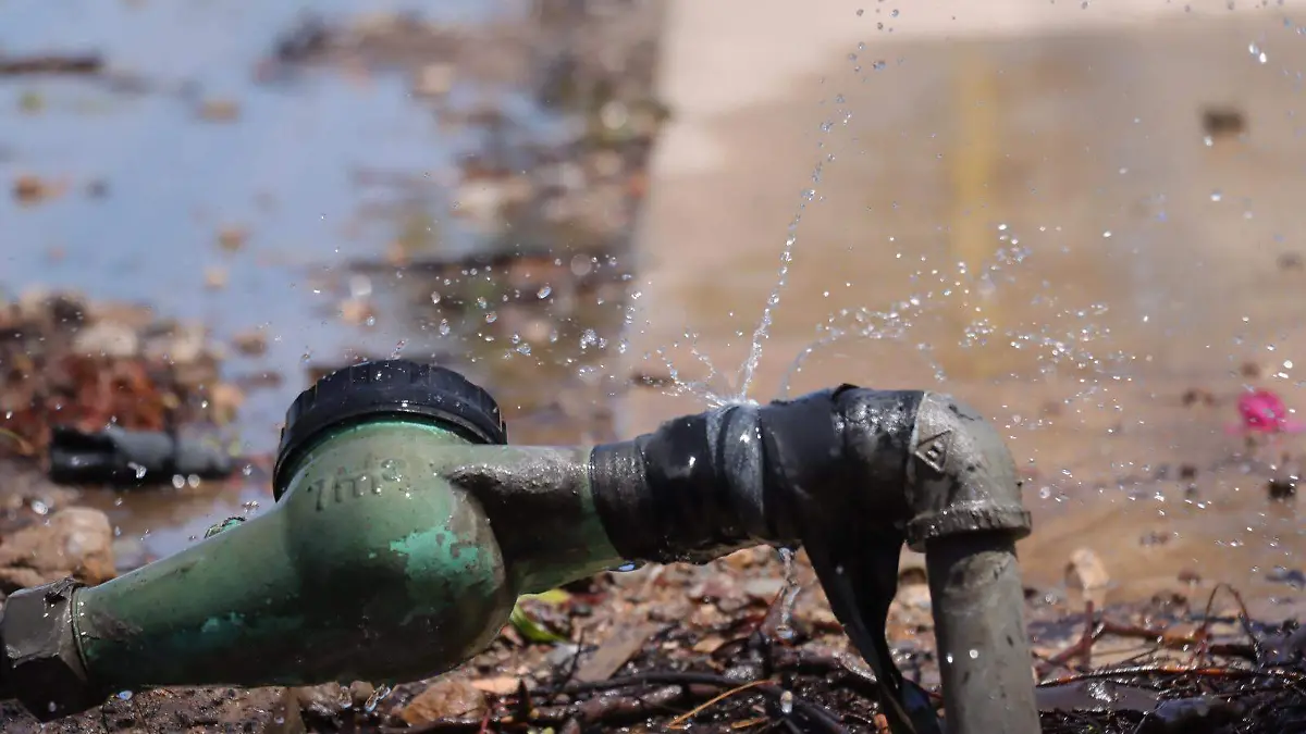 WhatsApp Image 2026-04-04 at 14.49.21