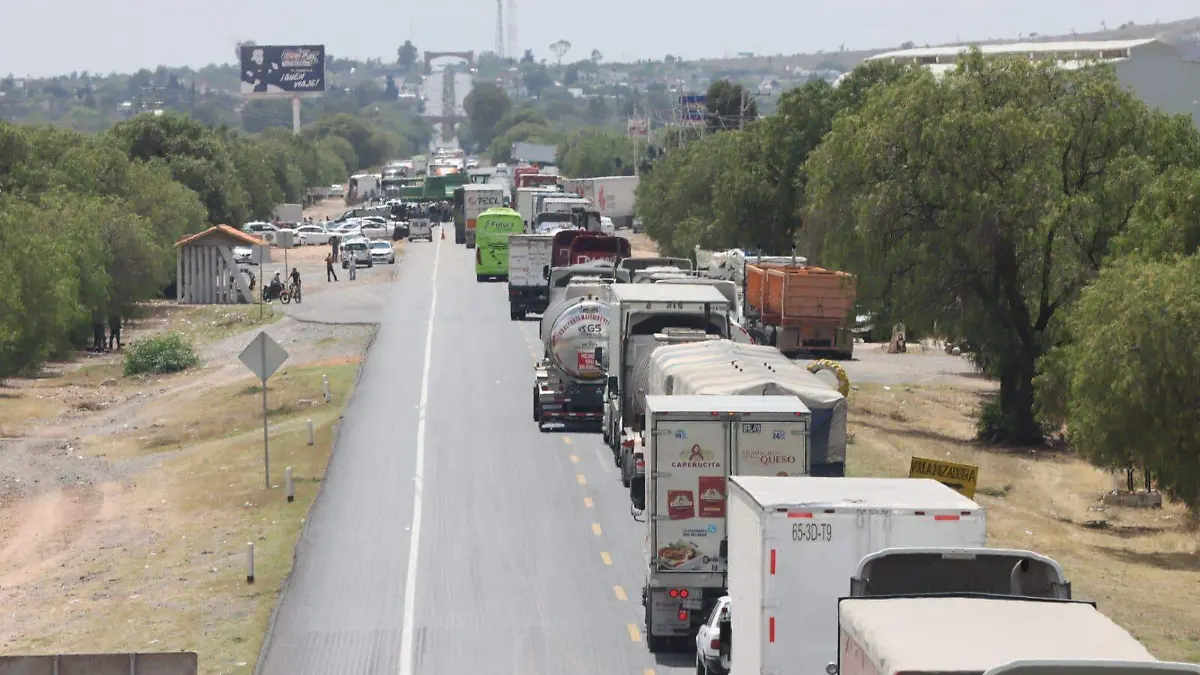 WhatsApp Image 2026-04-06 at 2.03.05 PM (1)