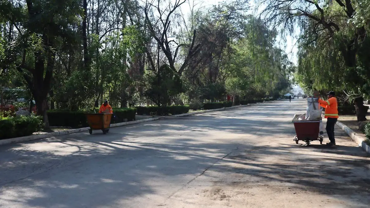 WhatsApp Image 2026-04-06 at 14.17.02