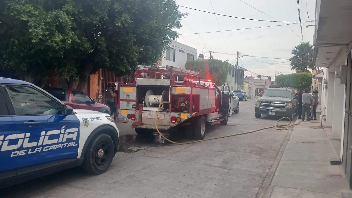 WhatsApp Image 2026-04-06 at 16.50.21