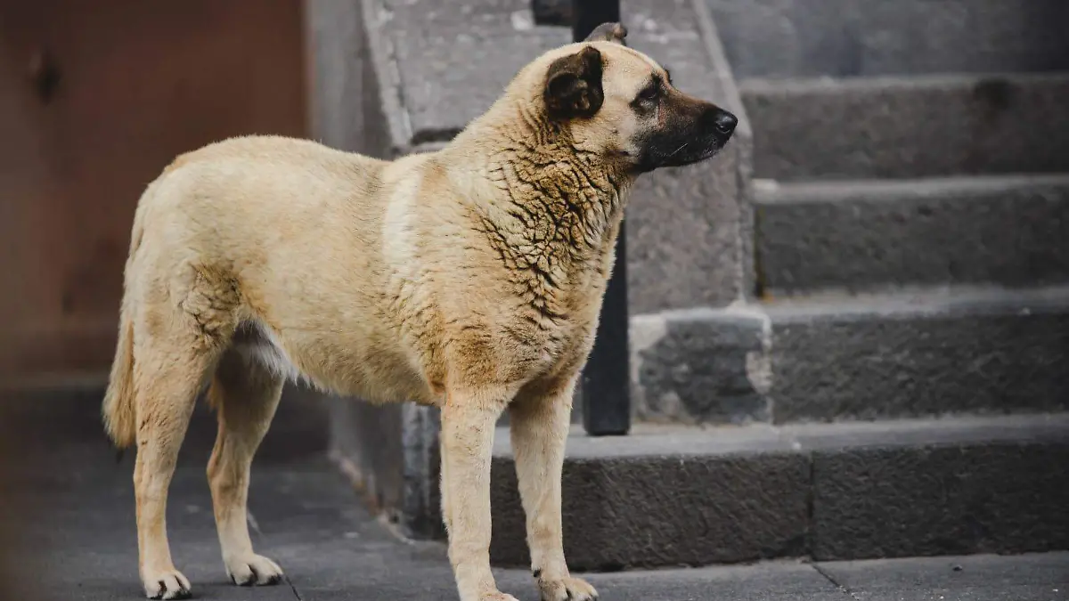 WhatsApp Image 2026-04-06 at 13.58.06