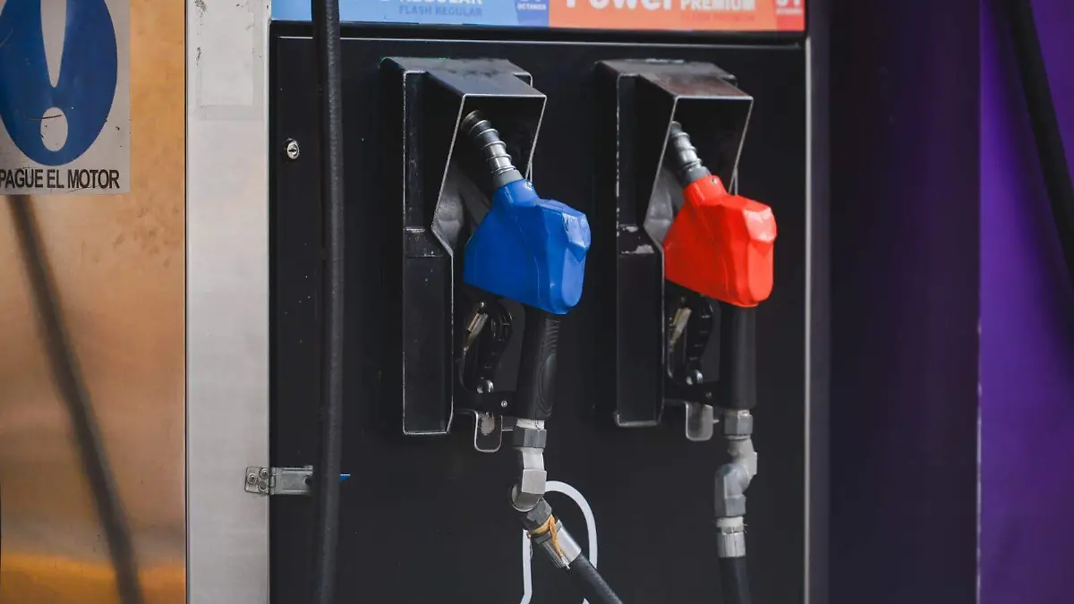 WhatsApp Image 2026-04-06 at 13.56.34