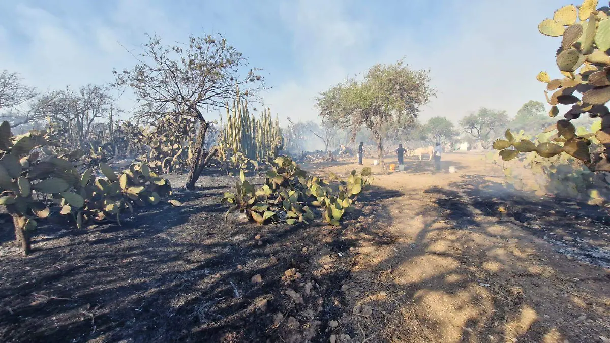 WhatsApp Image 2026-04-07 at 15.04.19