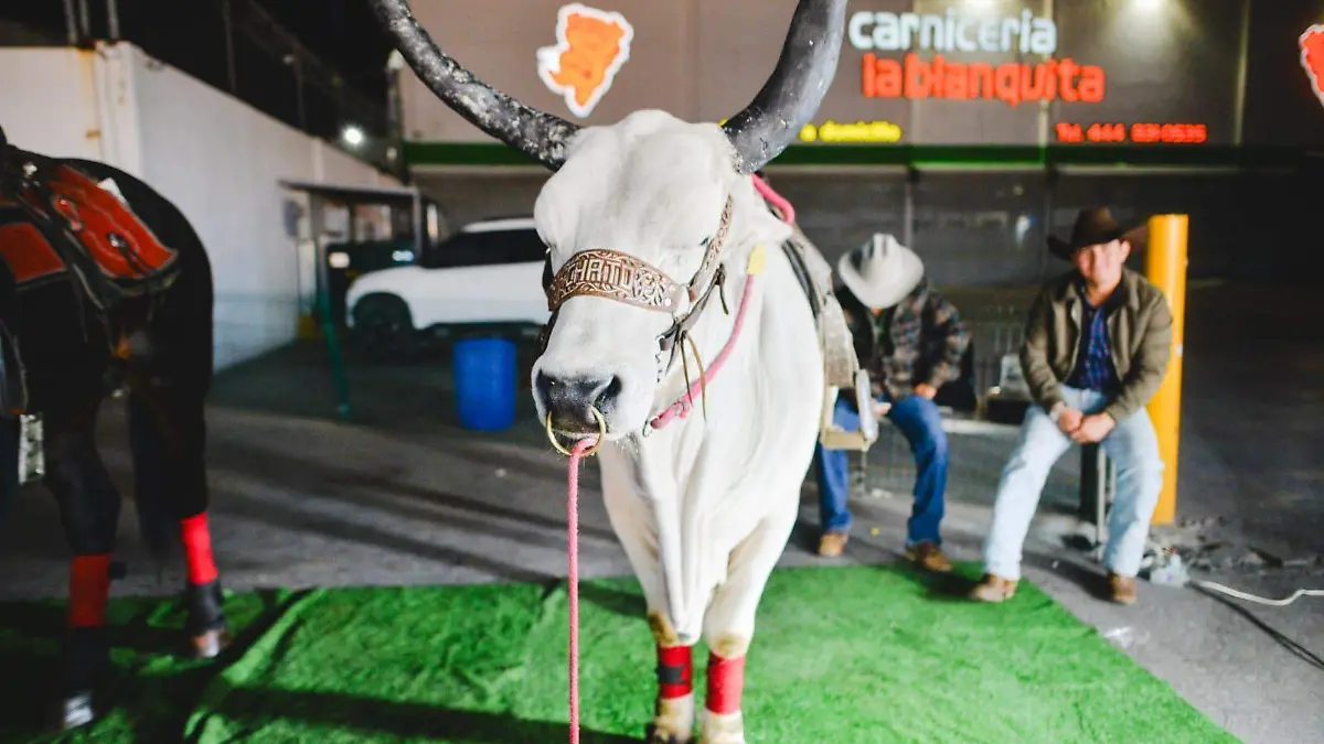 Exhibición de animales Fenae 