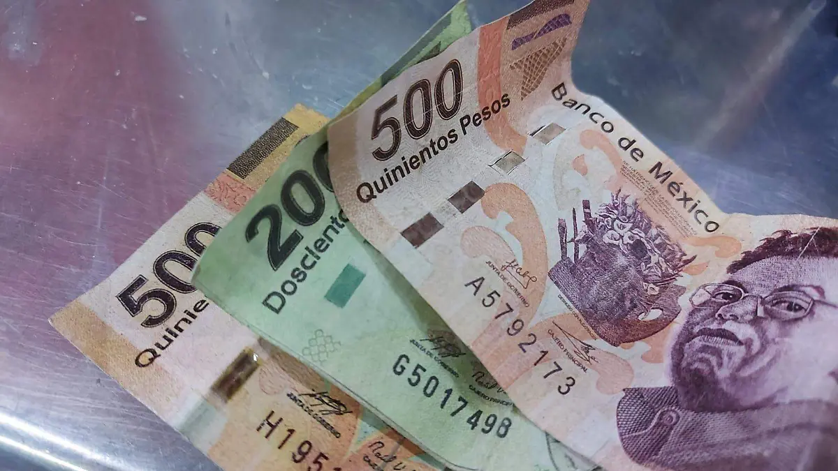 billetes, falsificación