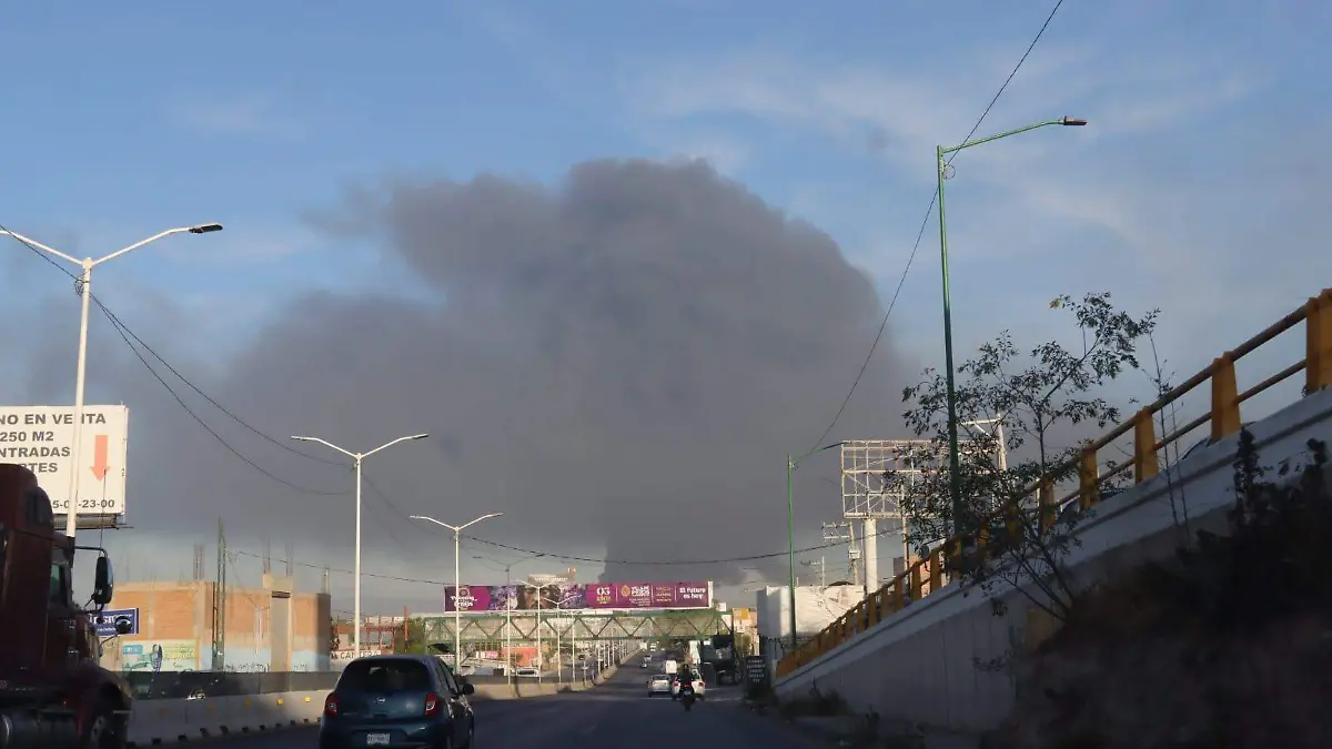 WhatsApp Image 2026-04-08 at 18.17.17