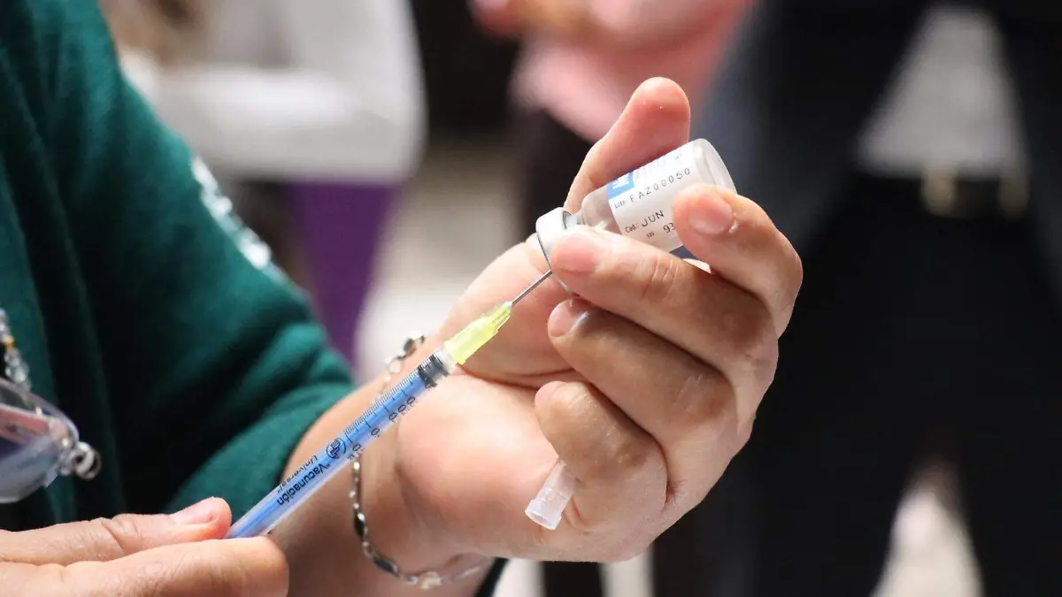 WhatsApp Image 2026-04-08 at 14.46.17