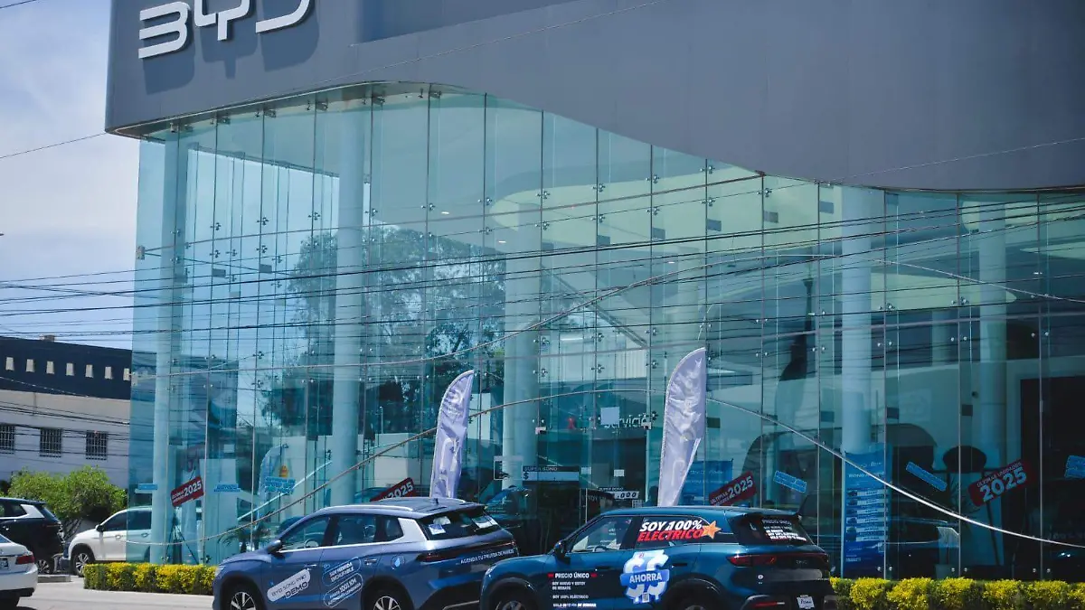 WhatsApp Image 2026-04-08 at 13.38.38