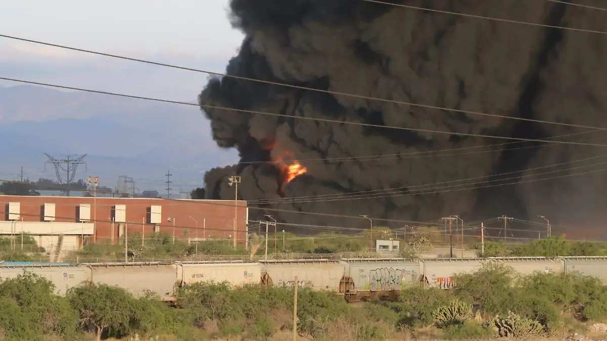 WhatsApp Image 2026-04-08 at 18.36.15