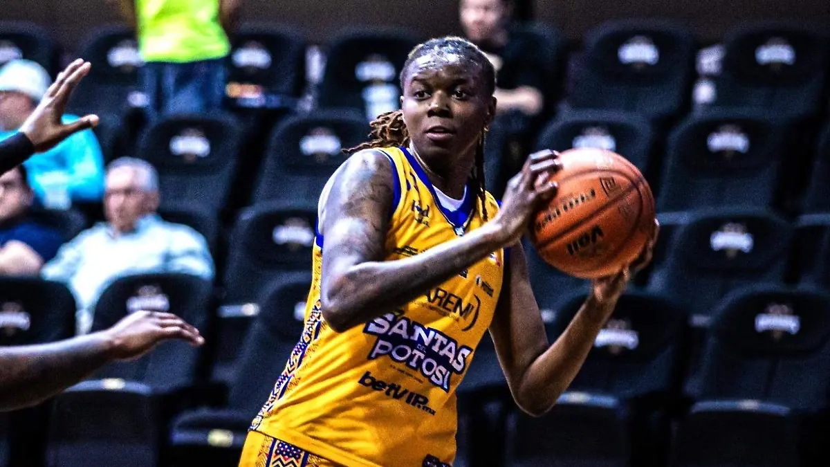 WhatsApp Image 2026-04-08 at 16.04.55