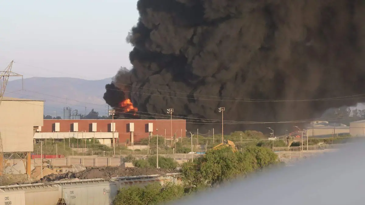 WhatsApp Image 2026-04-08 at 22.43.22