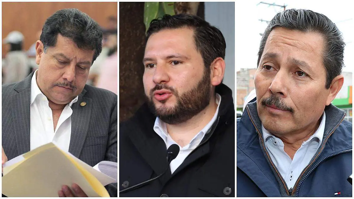 diputados federales SLP