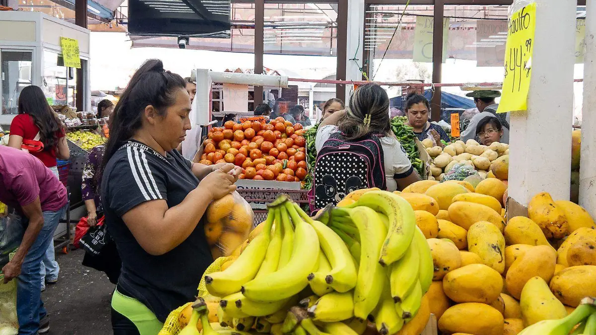 WhatsApp Image 2026-04-09 at 13.27.17