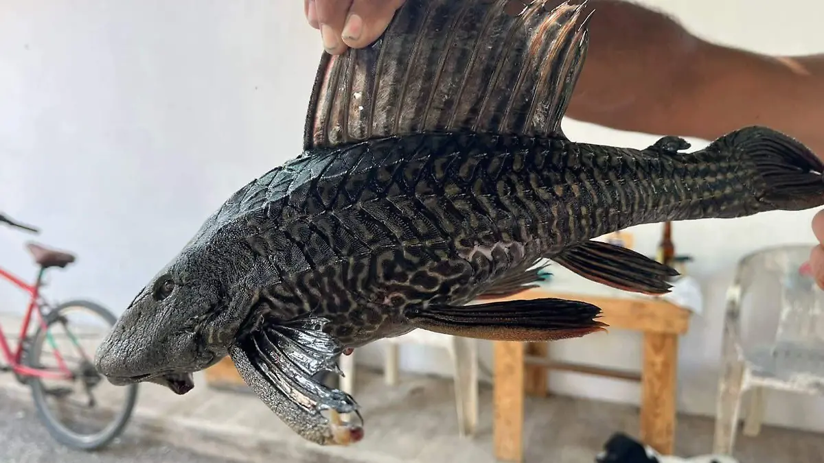 WhatsApp Image 2026-04-09 at 15.17.33