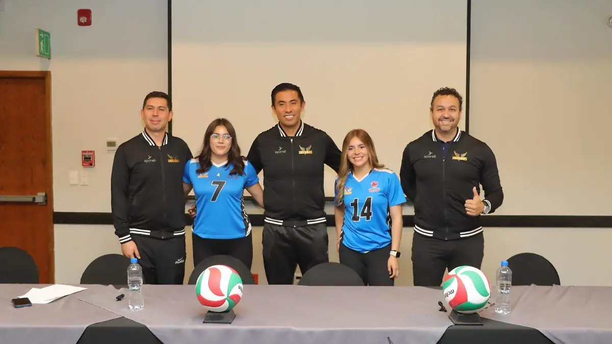 WhatsApp Image 2026-04-10 at 15.17.49