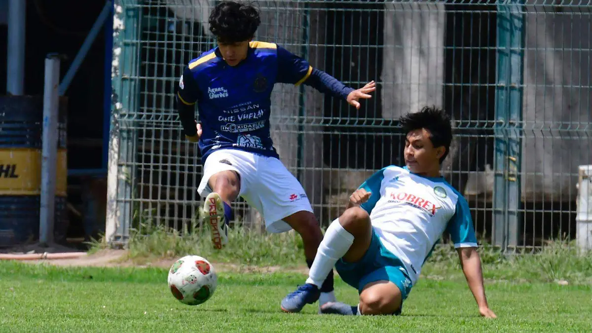 WhatsApp Image 2026-04-11 at 4.02.08 PM (4)