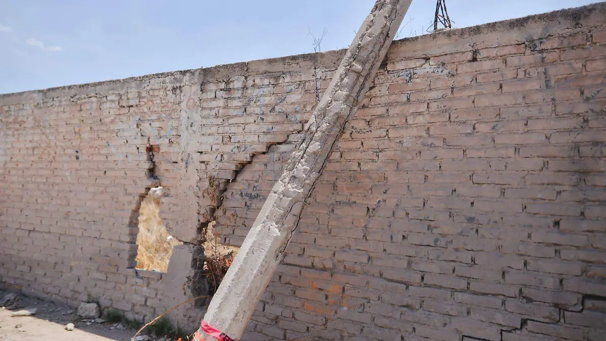 WhatsApp Image 2026-04-11 at 12.20.34