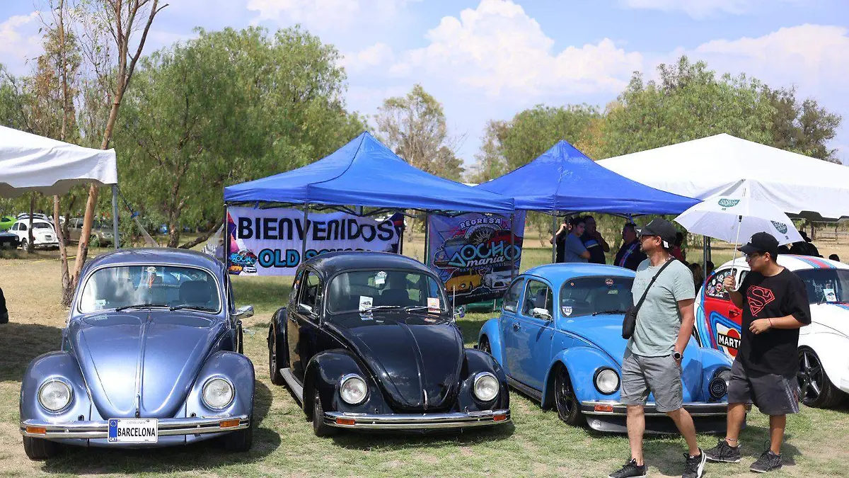 WhatsApp Image 2026-04-12 at 2.51.13 PM (1)