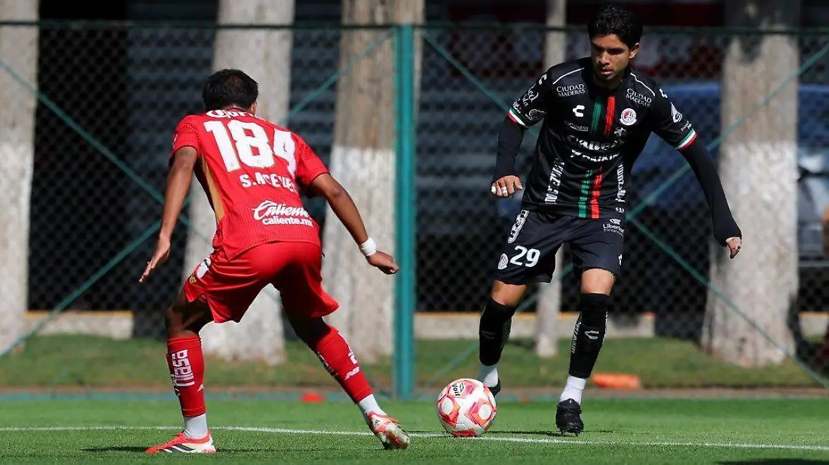 WhatsApp Image 2026-04-12 at 2.34.40 PM