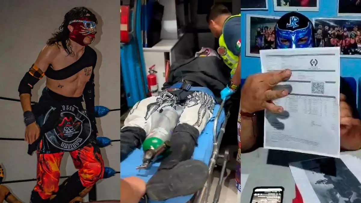 Logan Montana y Dinastía Azul