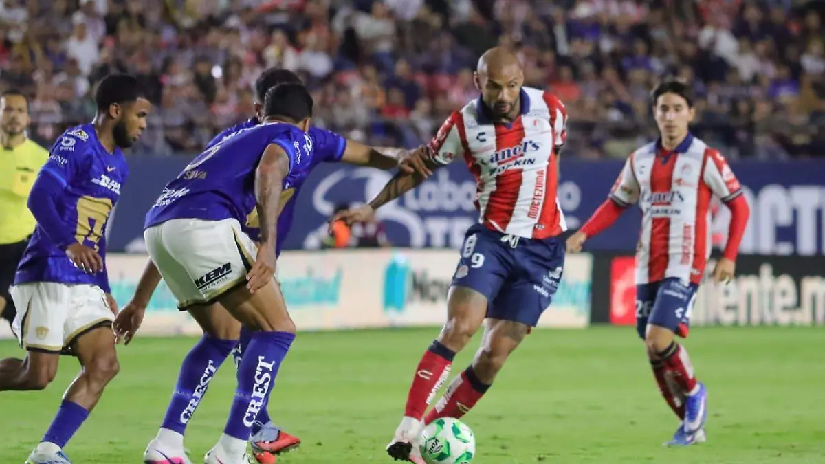 WhatsApp Image 2026-04-17 at 20.52.55