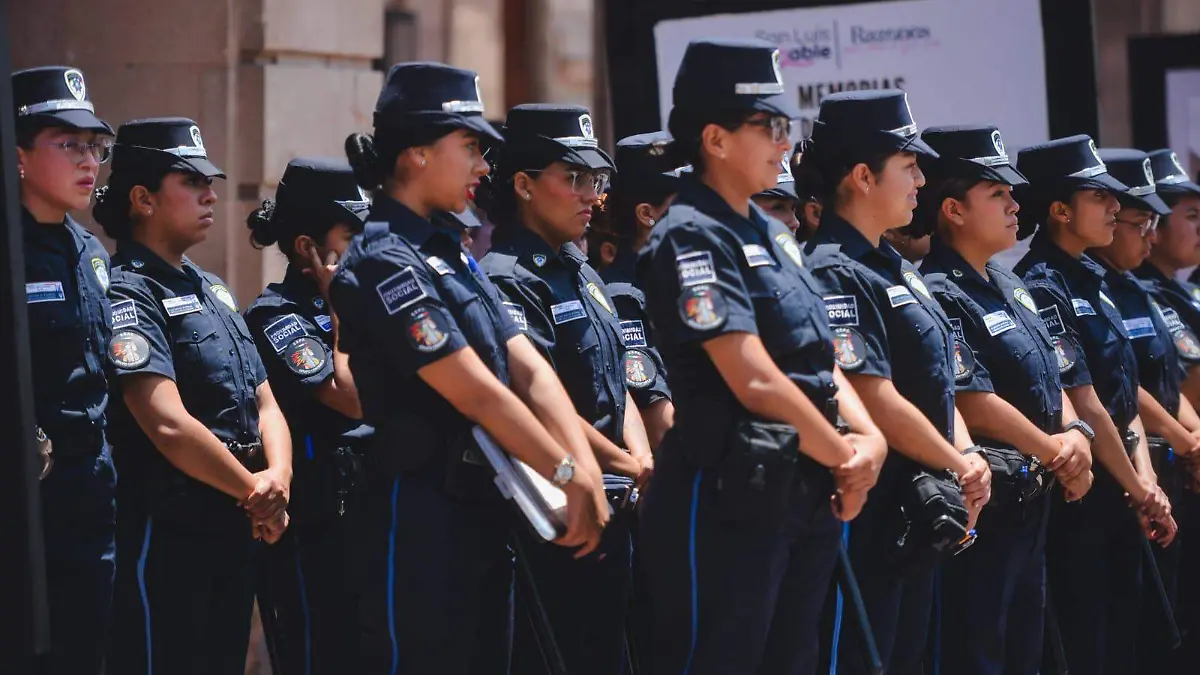 WhatsApp Image 2026-04-17 at 13.17.54