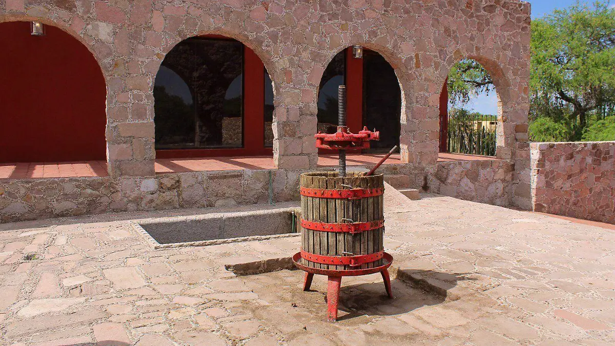 WhatsApp Image 2026-04-11 at 13.29.44 (2)