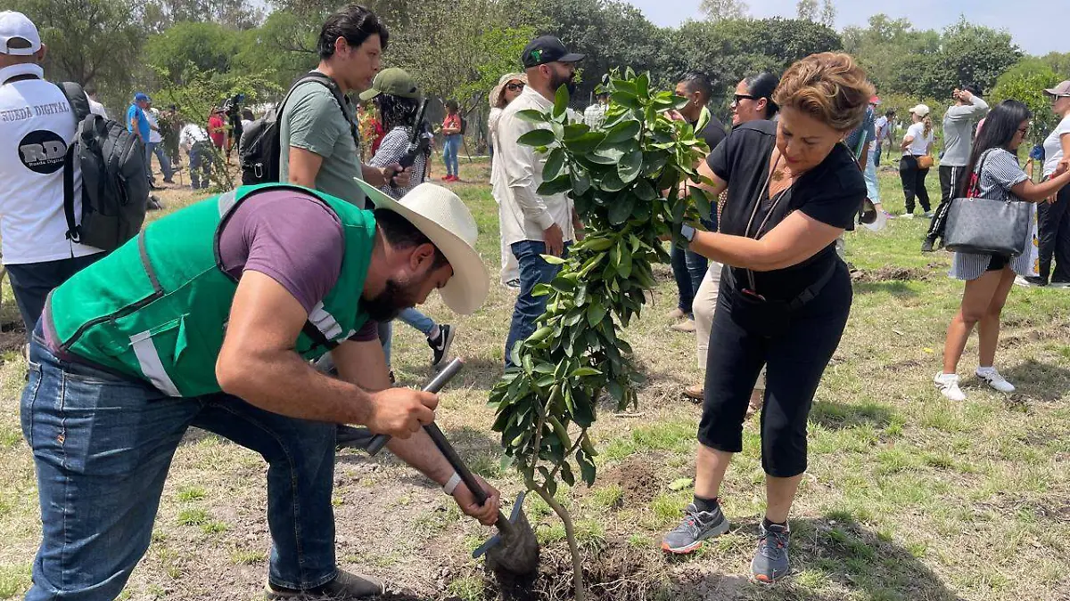 WhatsApp Image 2026-04-19 at 1.40.52 PM