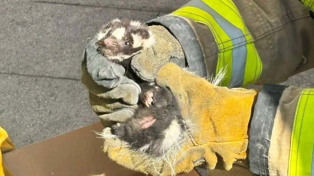 WhatsApp Image 2026-04-19 at 1.57.24 PM