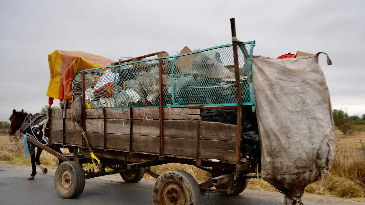 unidades de tracción animal