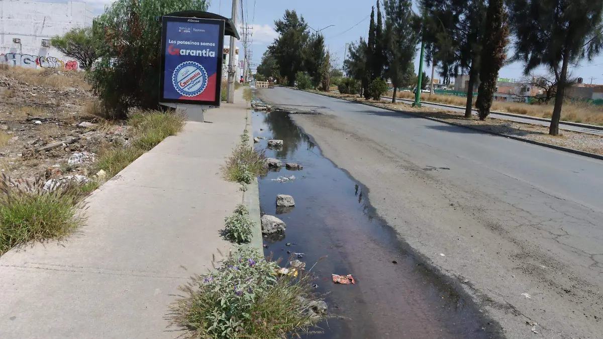 WhatsApp Image 2026-04-20 at 2.53.32 PM