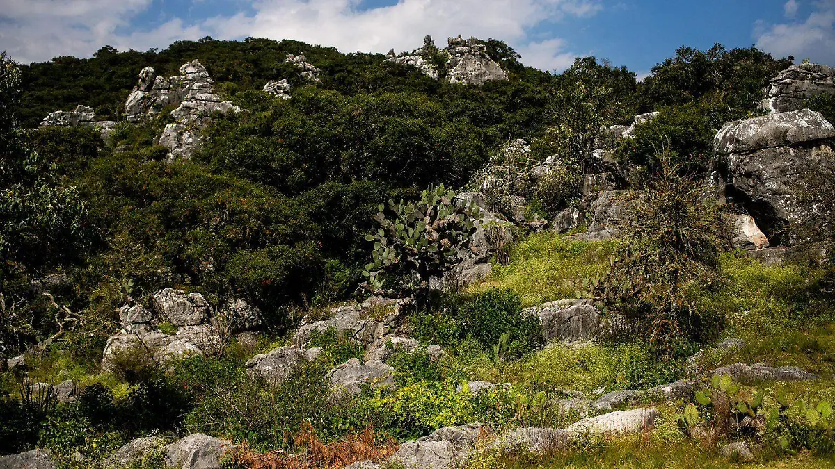 WhatsApp Image 2026-04-21 at 11.27.21