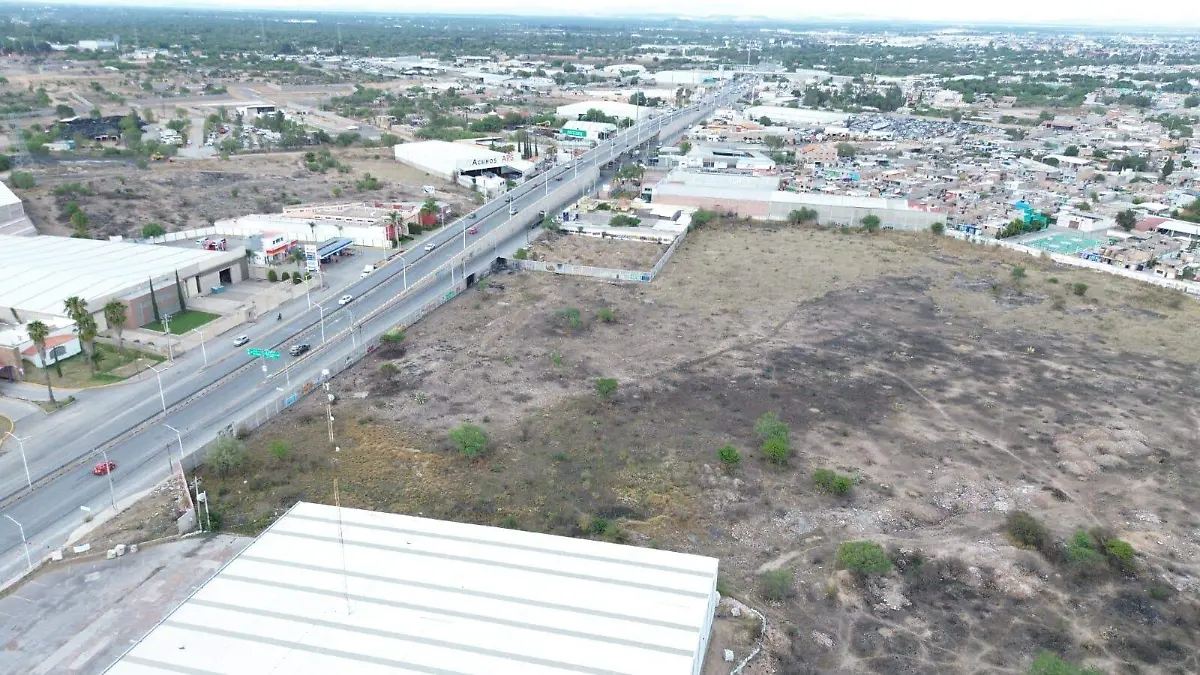 WhatsApp Image 2026-04-22 at 17.52.50 (1)